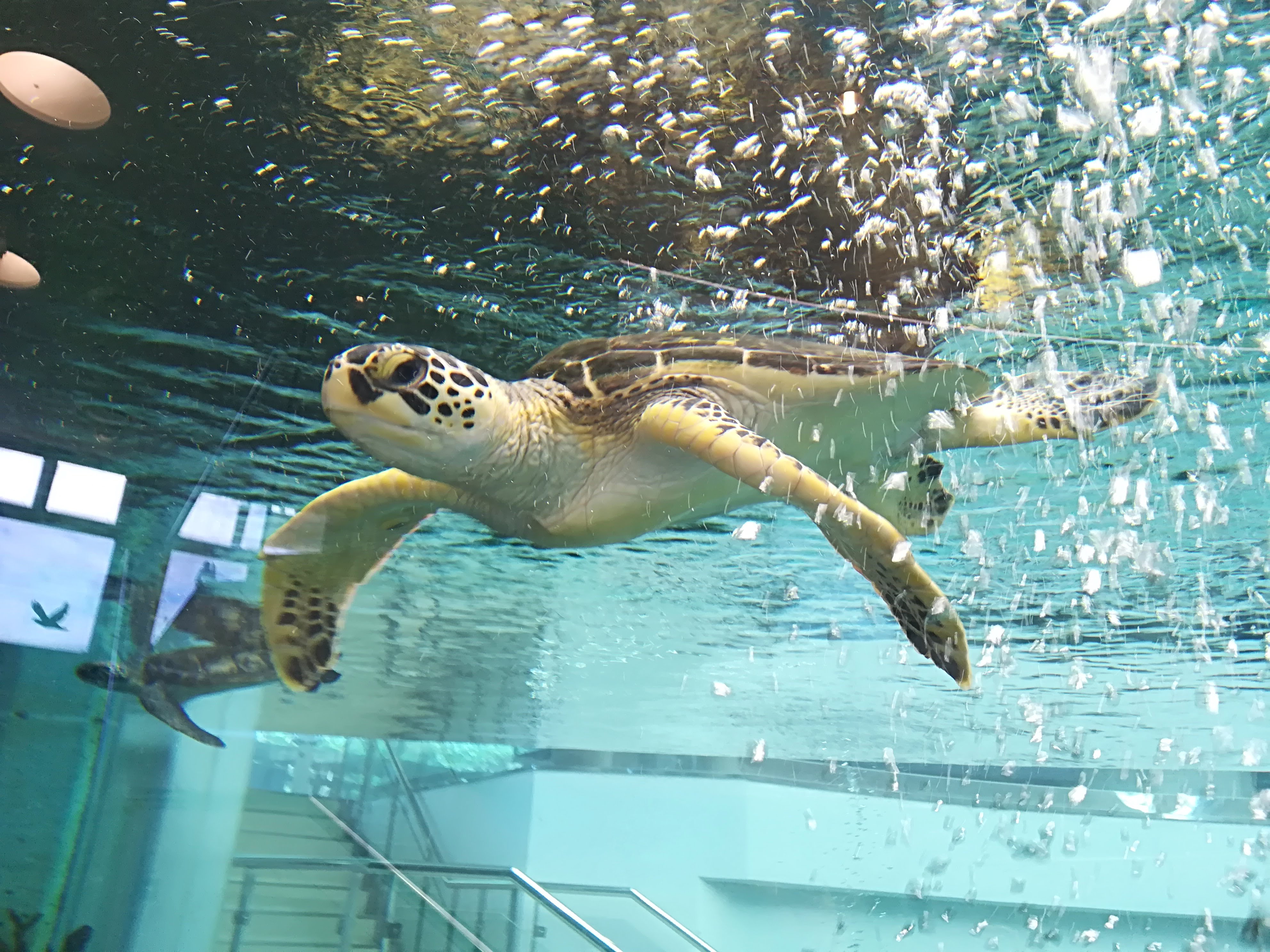 3F家具売り場写真